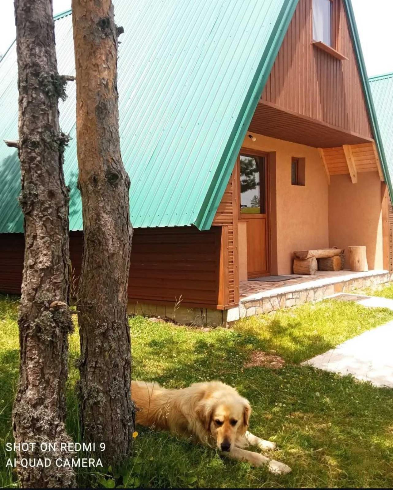 자블야크 Vikendice Smolovic 빌라 외부 사진